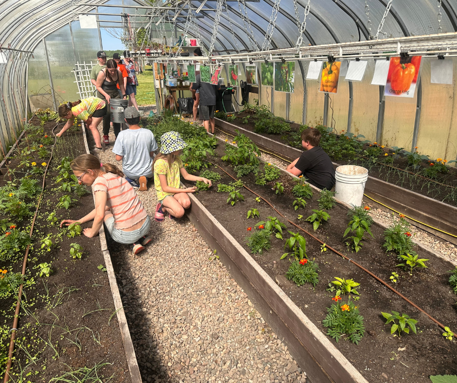 Jr Gardener kids
