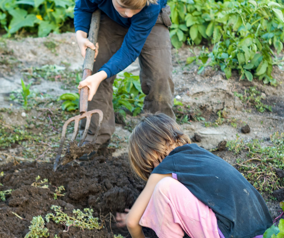 kids in soil